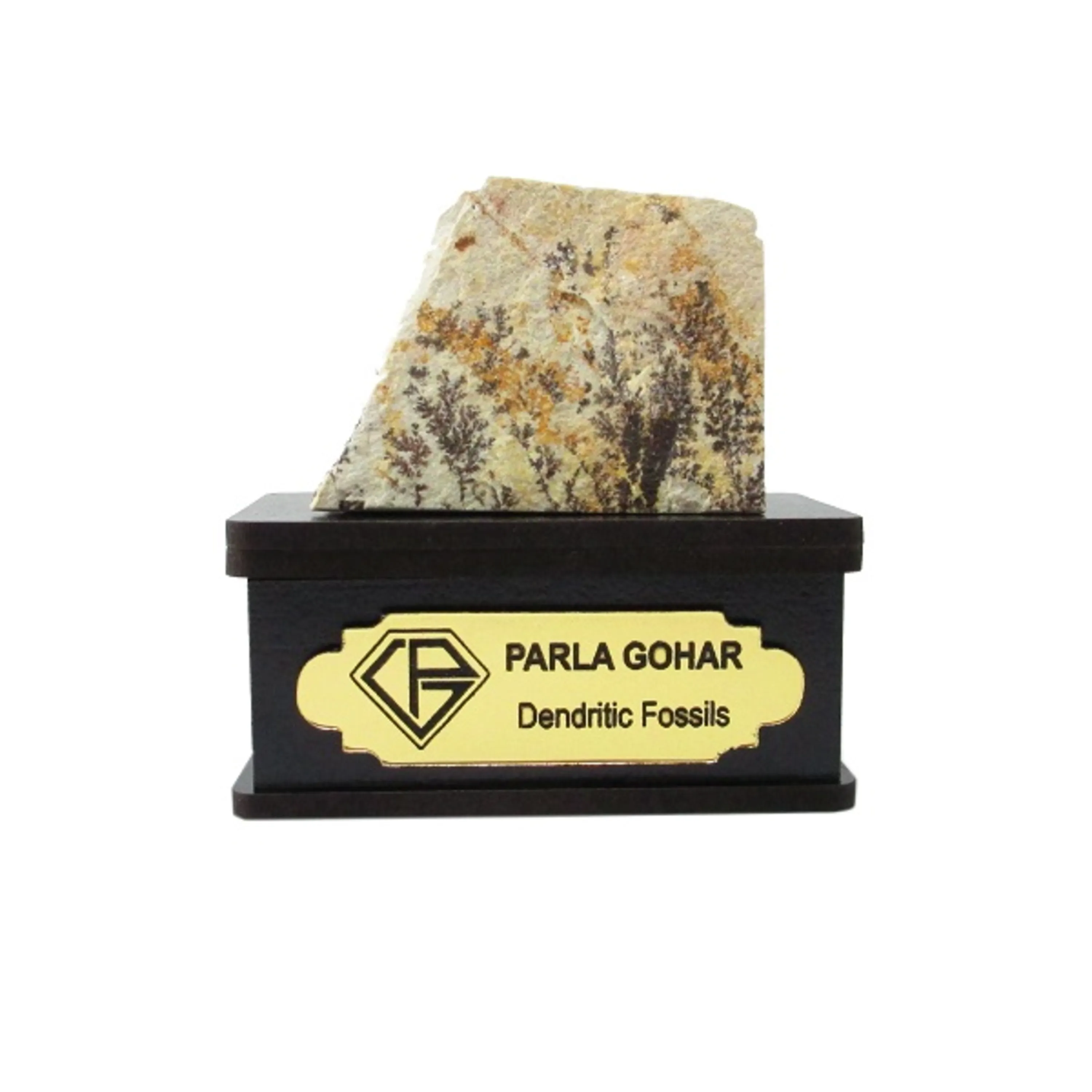 dendritic fossil 2190